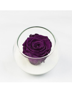 Une bulle de rose stabilisée