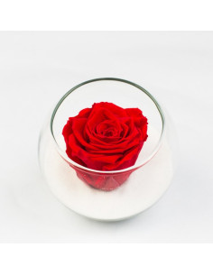 Une bulle de rose stabilisée 2