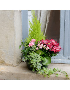 Une coupe de plantes fleuries