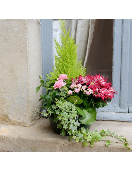 Une coupe de plantes fleuries