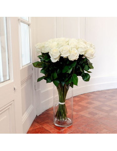 La rose pièce blanche