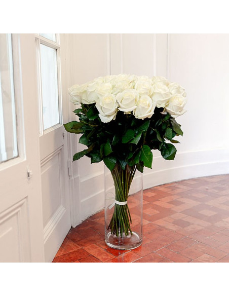 La rose pièce blanche