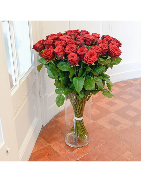 La rose pièce rouge