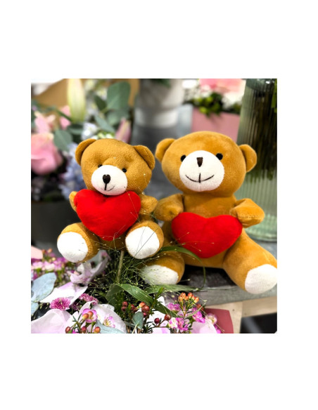 Un ourson en peluche