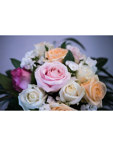 Une  "Avalanche " de roses