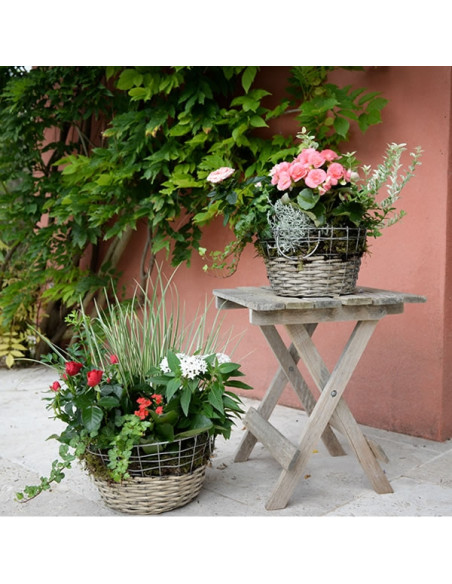 Une coupe de plantes fleuries de saison