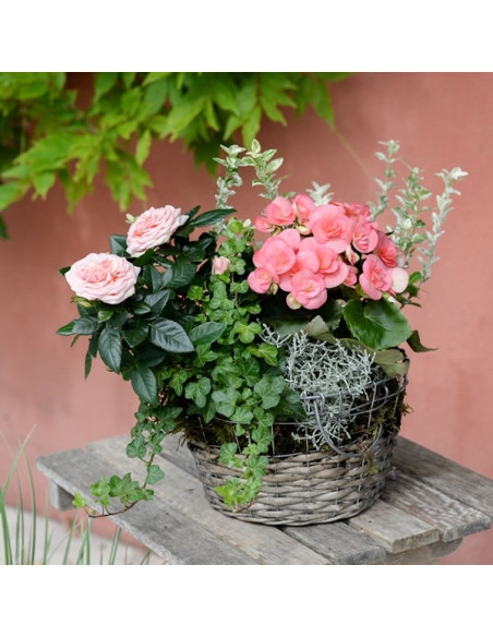 Une coupe de plantes fleuries de saison