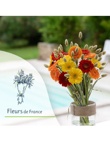 Un bouquet de germinis