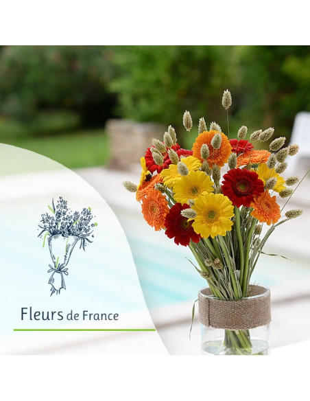 Un bouquet de germinis