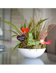 Une coupe de plantes d'intérieur