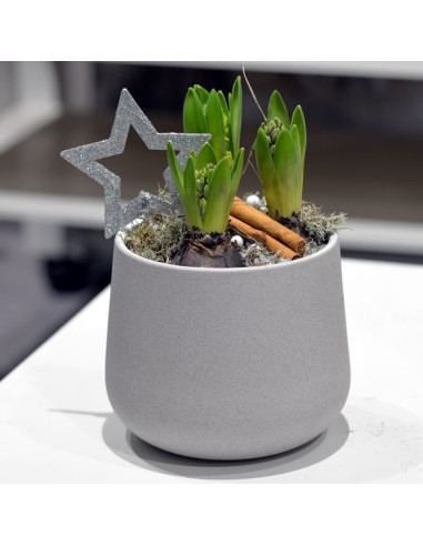 Une coupe de jacynthe