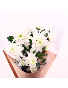 Une botte de chrysanthèmes blancs