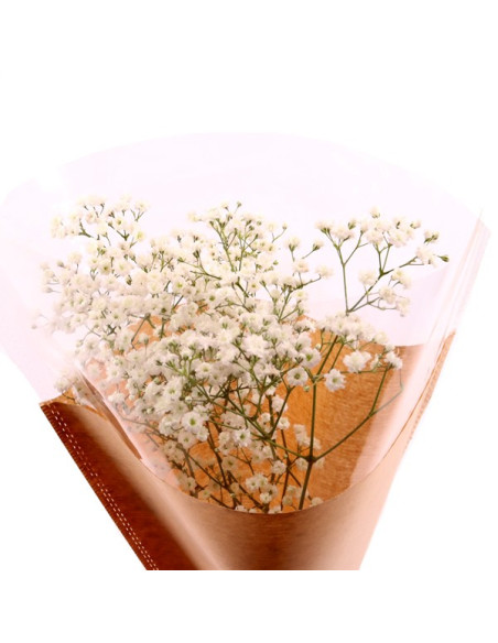 Une branche de gypsophile